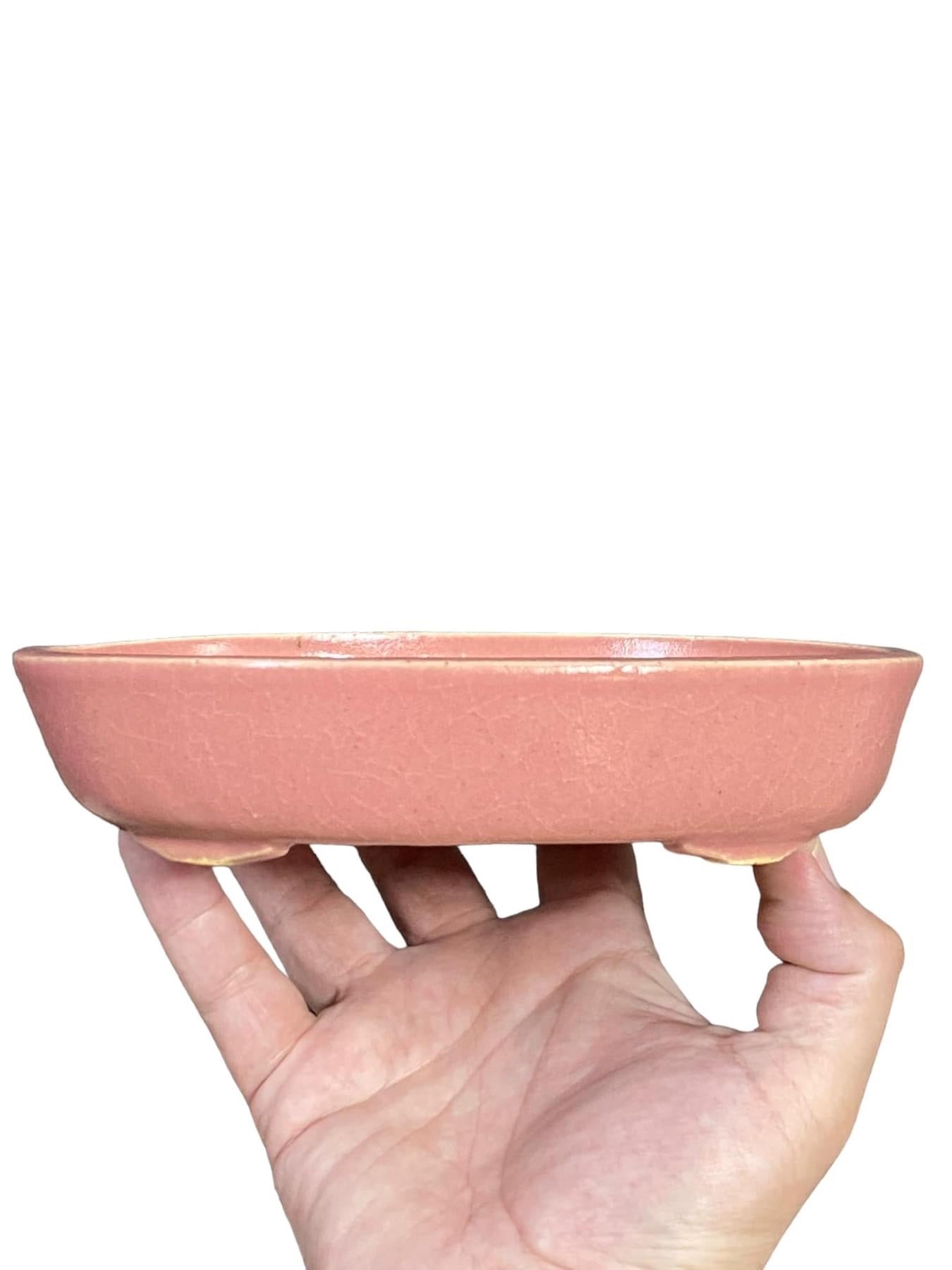 Kiyoshi Kiowai “Fuka” - Candy Pink Glazed Bonsai Pot (7-7/8” wide)