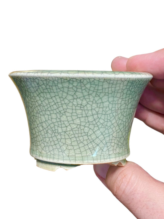 Eimei - Exhibition Quality Crackle Glazed Bonsai Pot