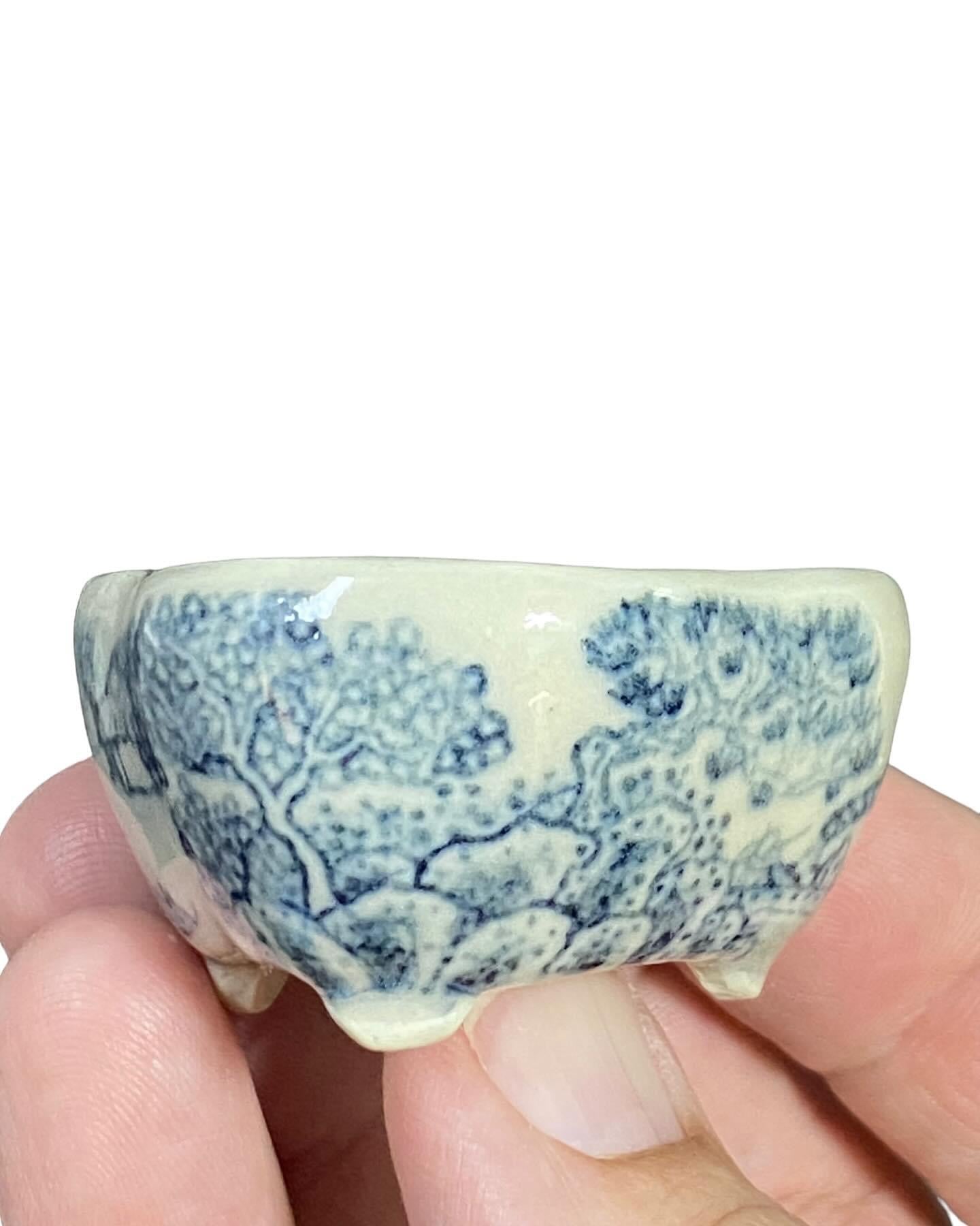 Uno Noboru - Amazing Painted Bonsai Pot (2-1/4” wide)