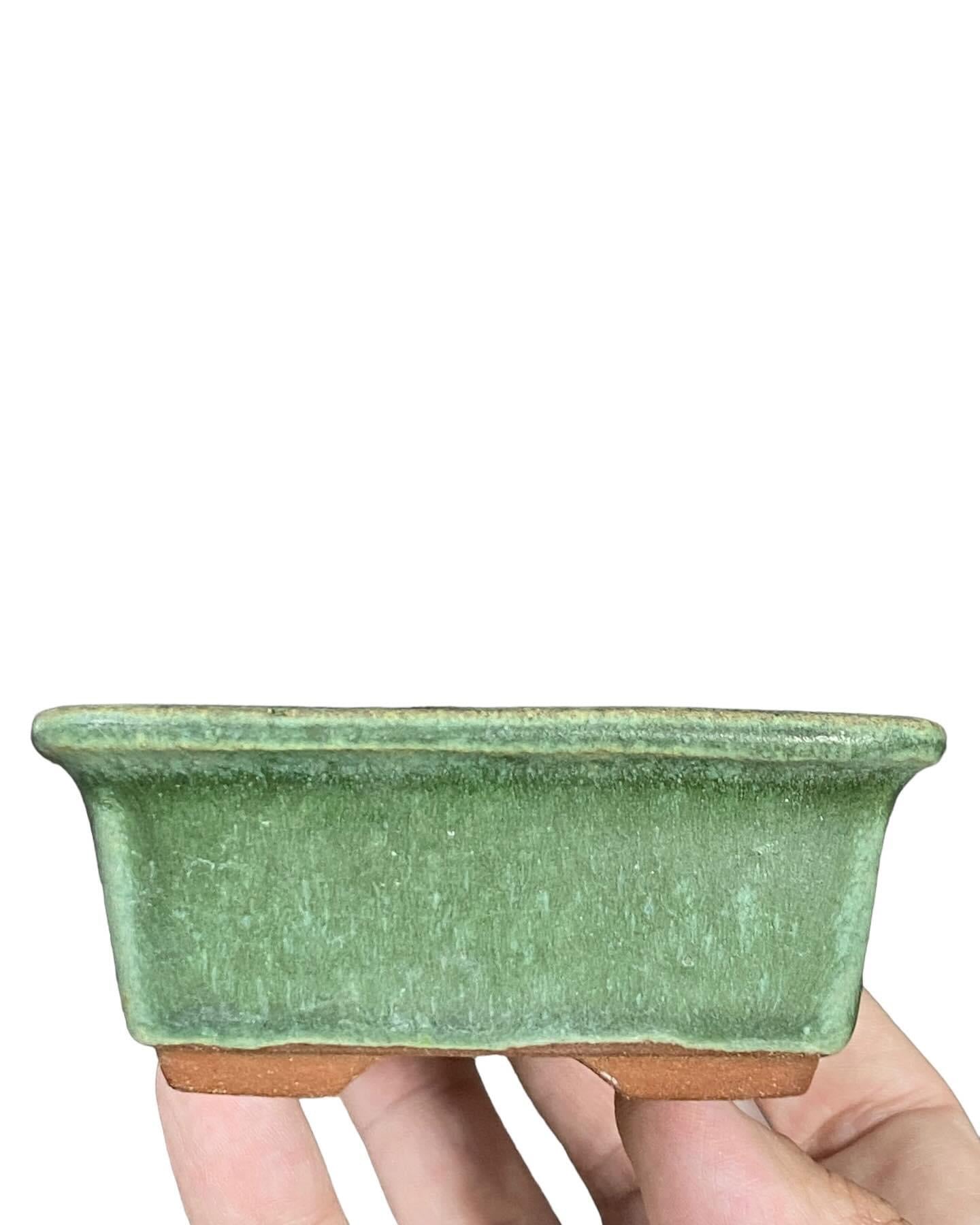Eimei - Classic Green Glazed Bonsai Pot (4-7/8” wide)