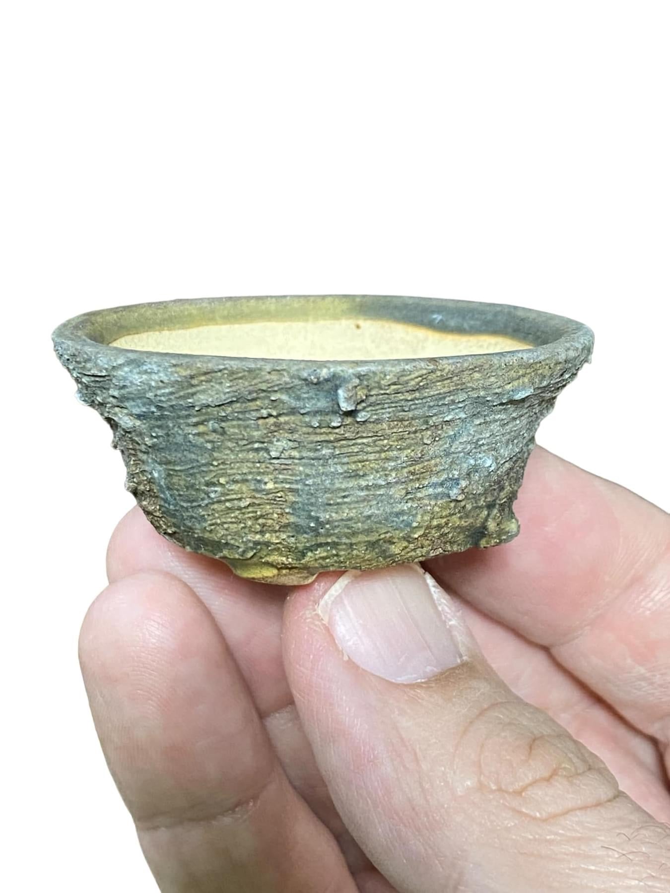 Beautiful Handmade Round Mame Bonsai Pot from Japan