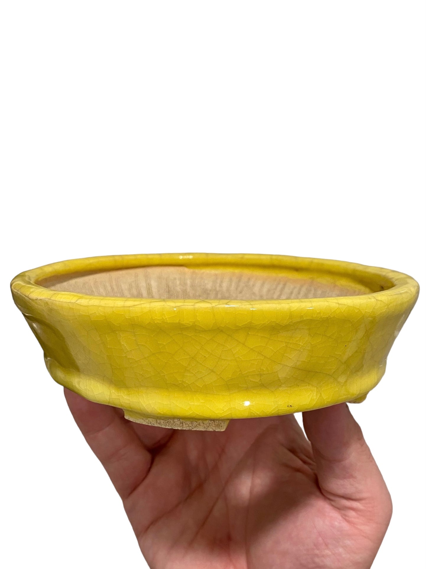 Fukushige Bushuan - Crackle Yellow Glazed Oval Bonsai Pot