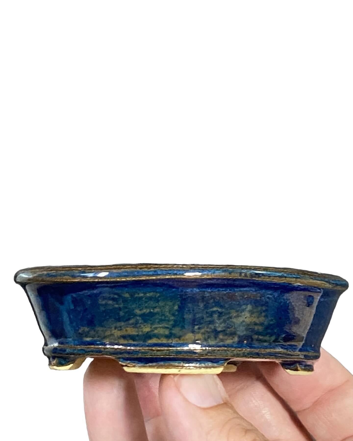 Dokou - Rich Blue Oval Bonsai or Accent Pot (3-5/16” wide)