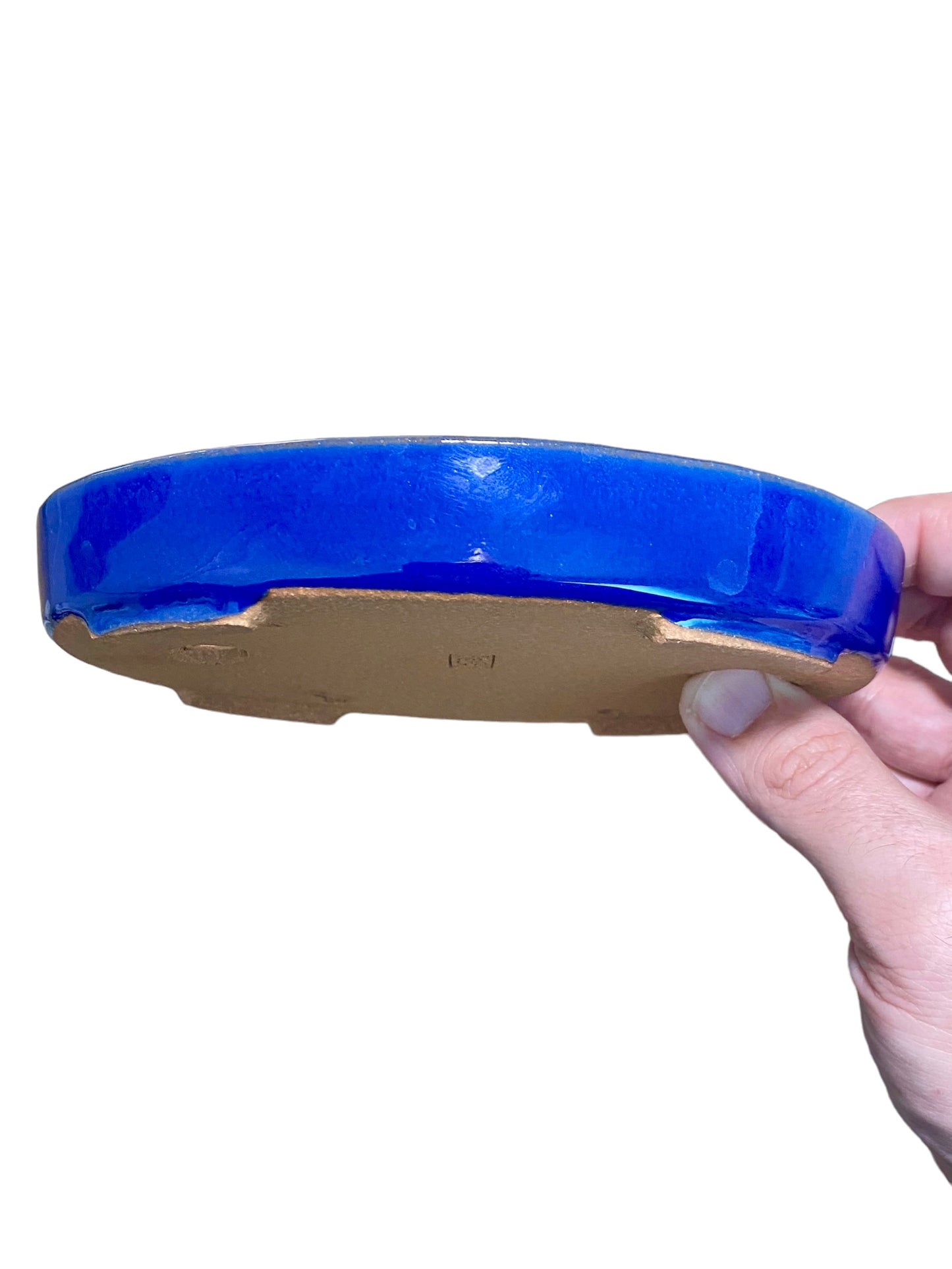 Ikko - Royal Blue Glazed Oval Bonsai or Accent Pot (6-7/8” wide)