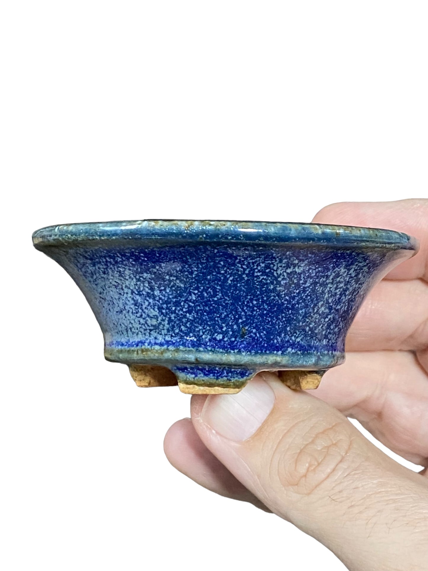 Hattori - Rare Mame Periwinkle Footed Round Bonsai Pot