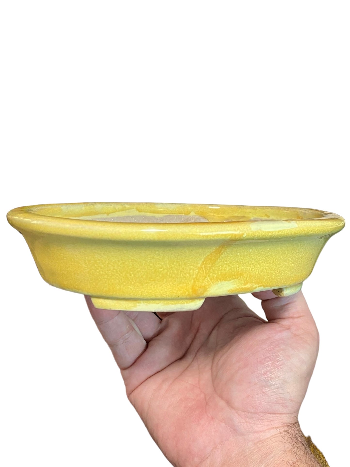 Koyo - Rare Yellow Glazed Oval Bonsai Pot