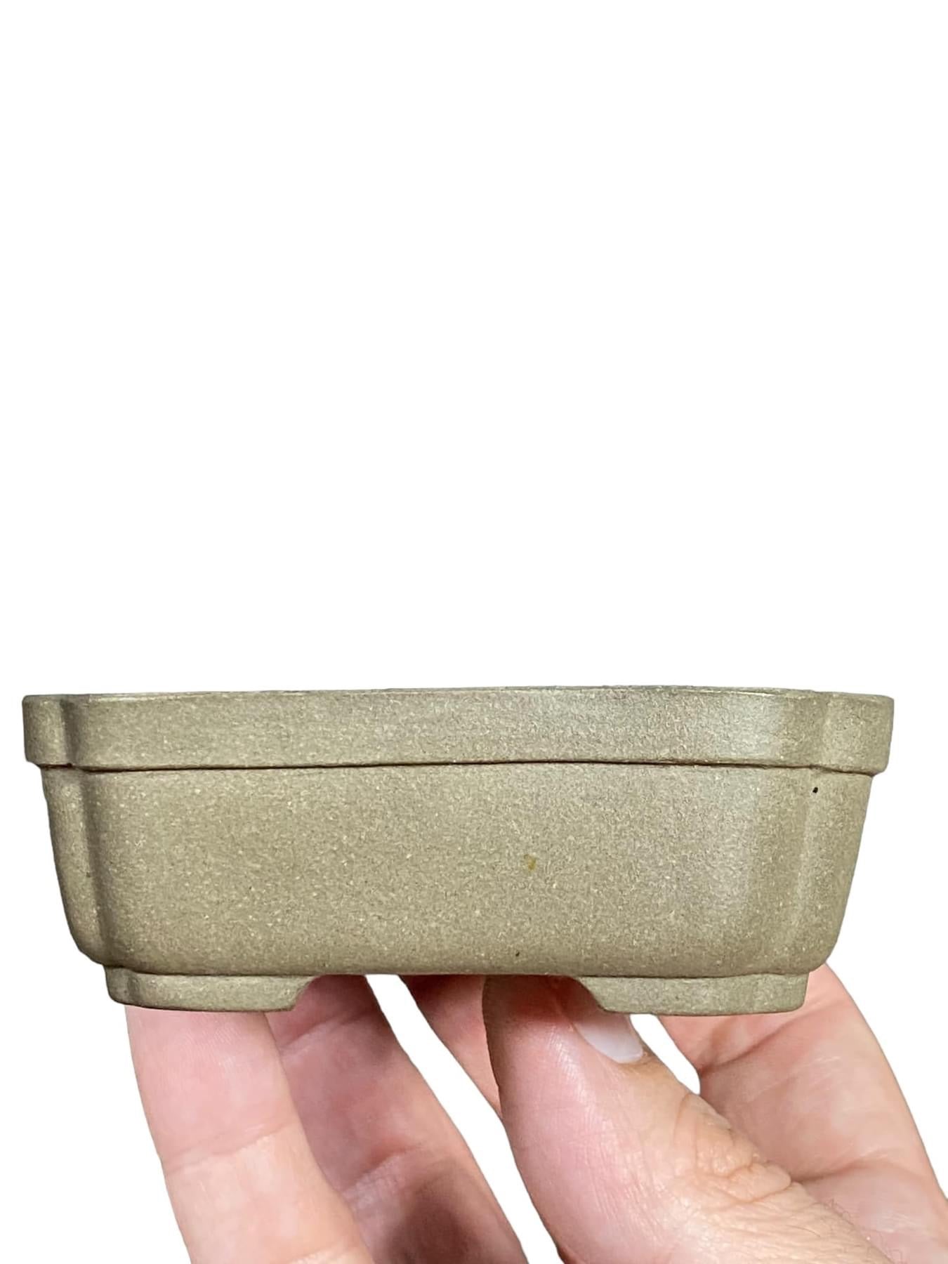 Hokidou - Fantastic Cut Corner Rectangle Bonsai Pot (4-1/2” wide)