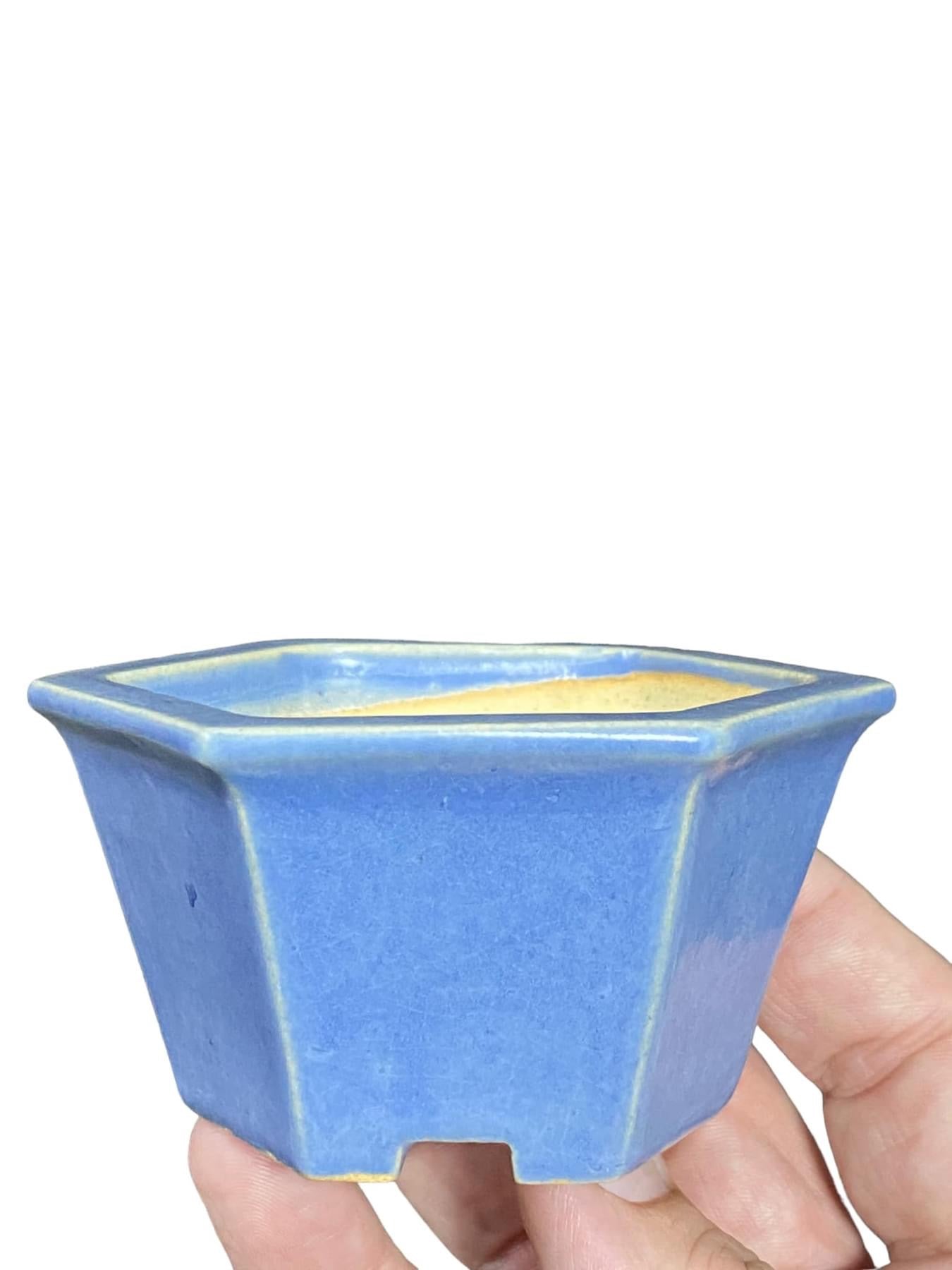 Ikegami - Light Blue Glazed Hexagon Bonsai Pot