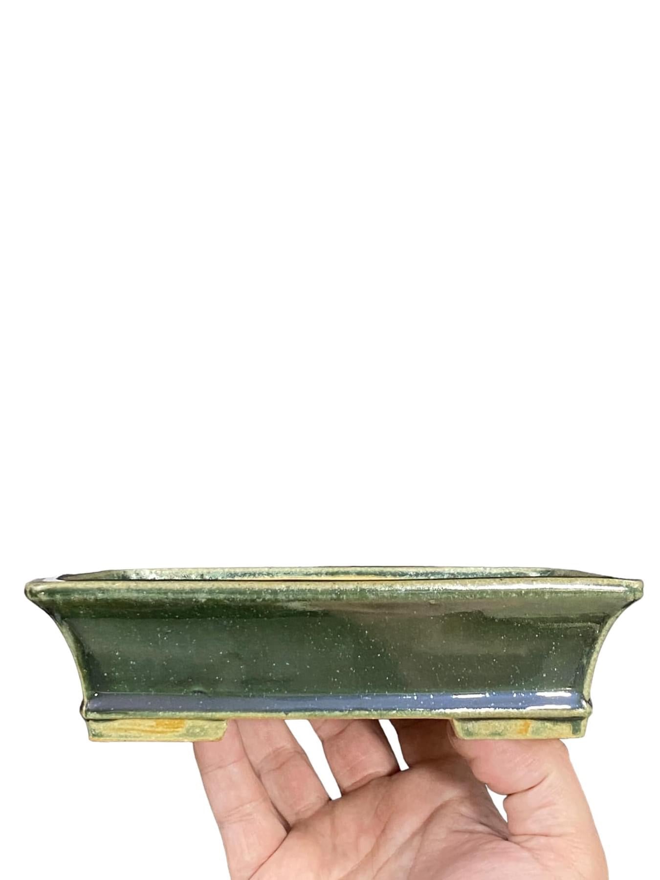 Shibakatsu - Shimmering Green Glazed Rectangle Bonsai Pot (7-1/2” wide)