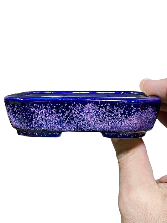 Koyo - Stellar Glazed Shohin Rectangle Bonsai Pot (4-3/8" wide)