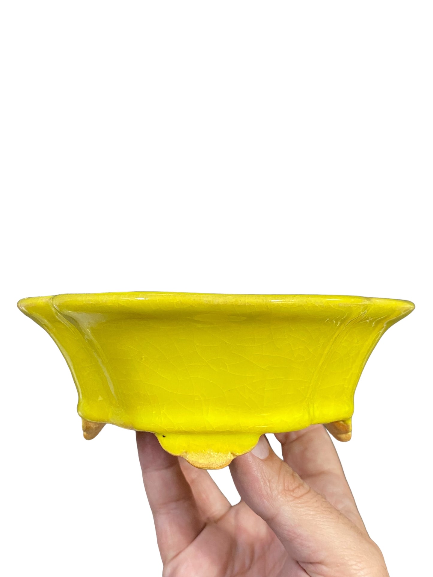 Fukuda Keiun - Bright Yellow Glazed Mokko Bonsai Pot (7" wide)