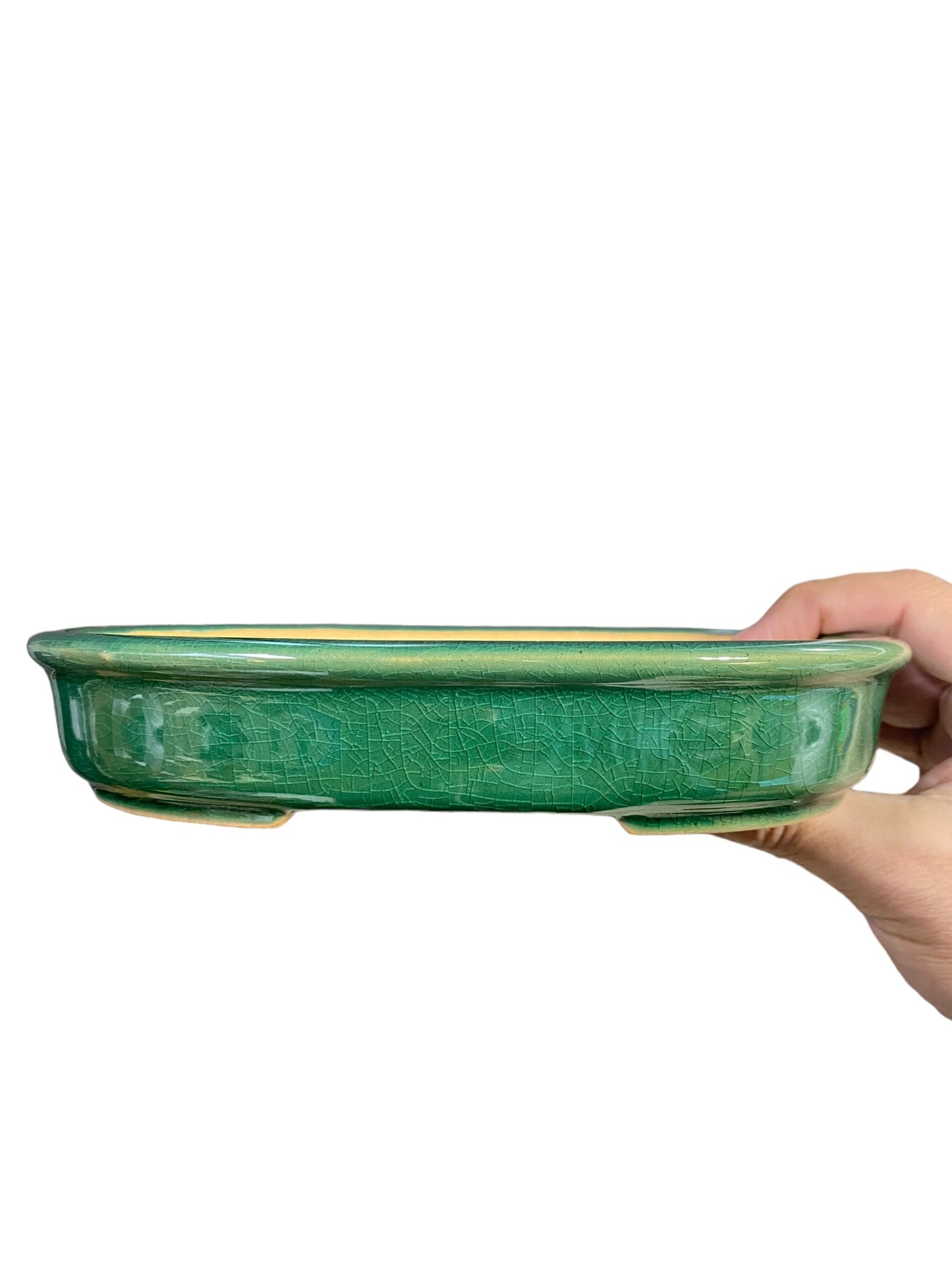 LoveBonsai Glazed Green Oval Bonsai Pot (8-1/2” wide)