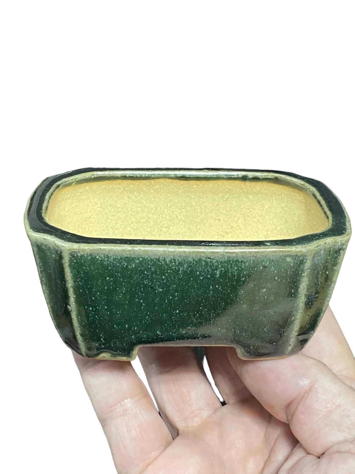 Shibakatsu - Green Glaze Rectangle Style Bonsai Pot