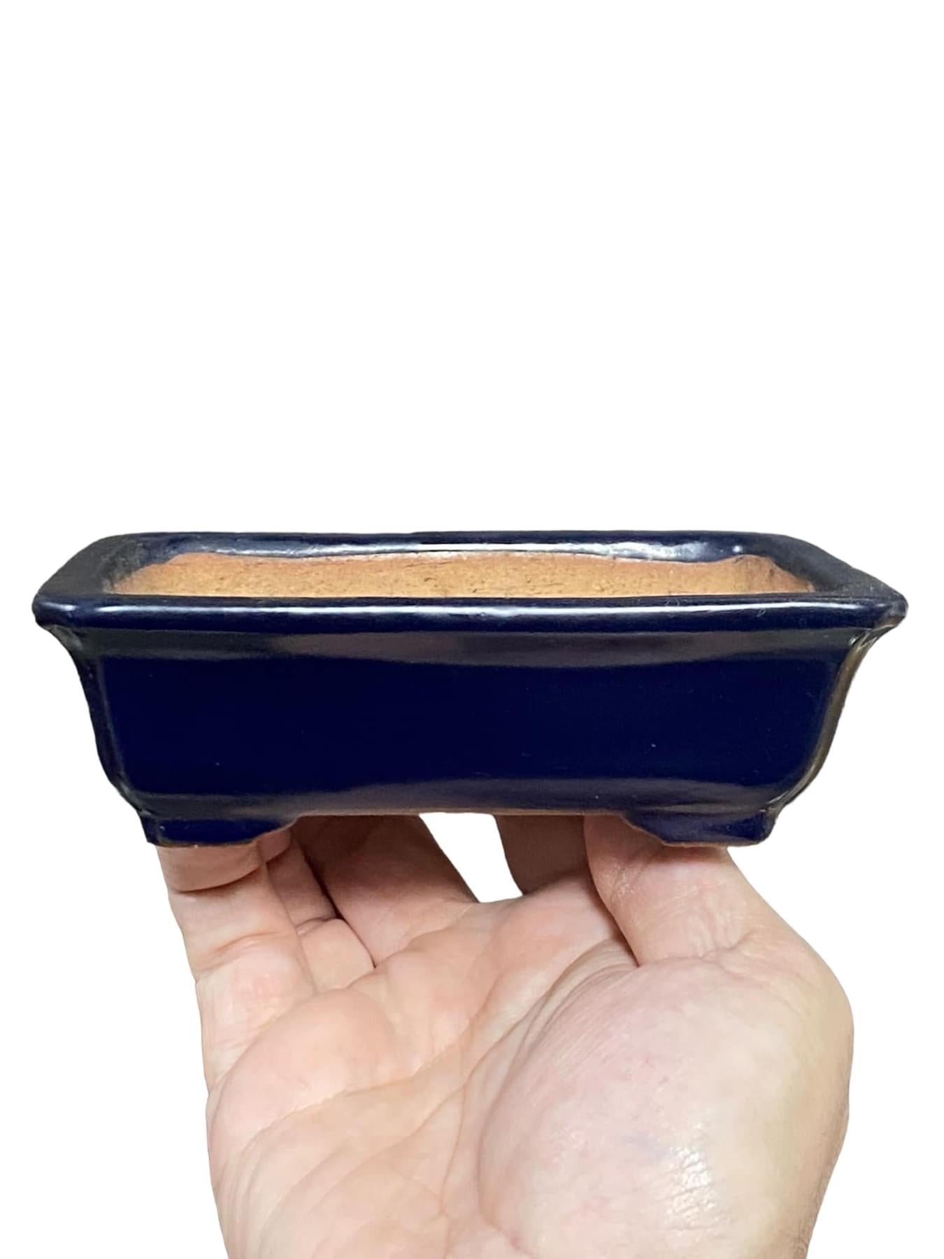 Yamafusa - Ruri Blue Glazed Rectangle Bonsai Pot