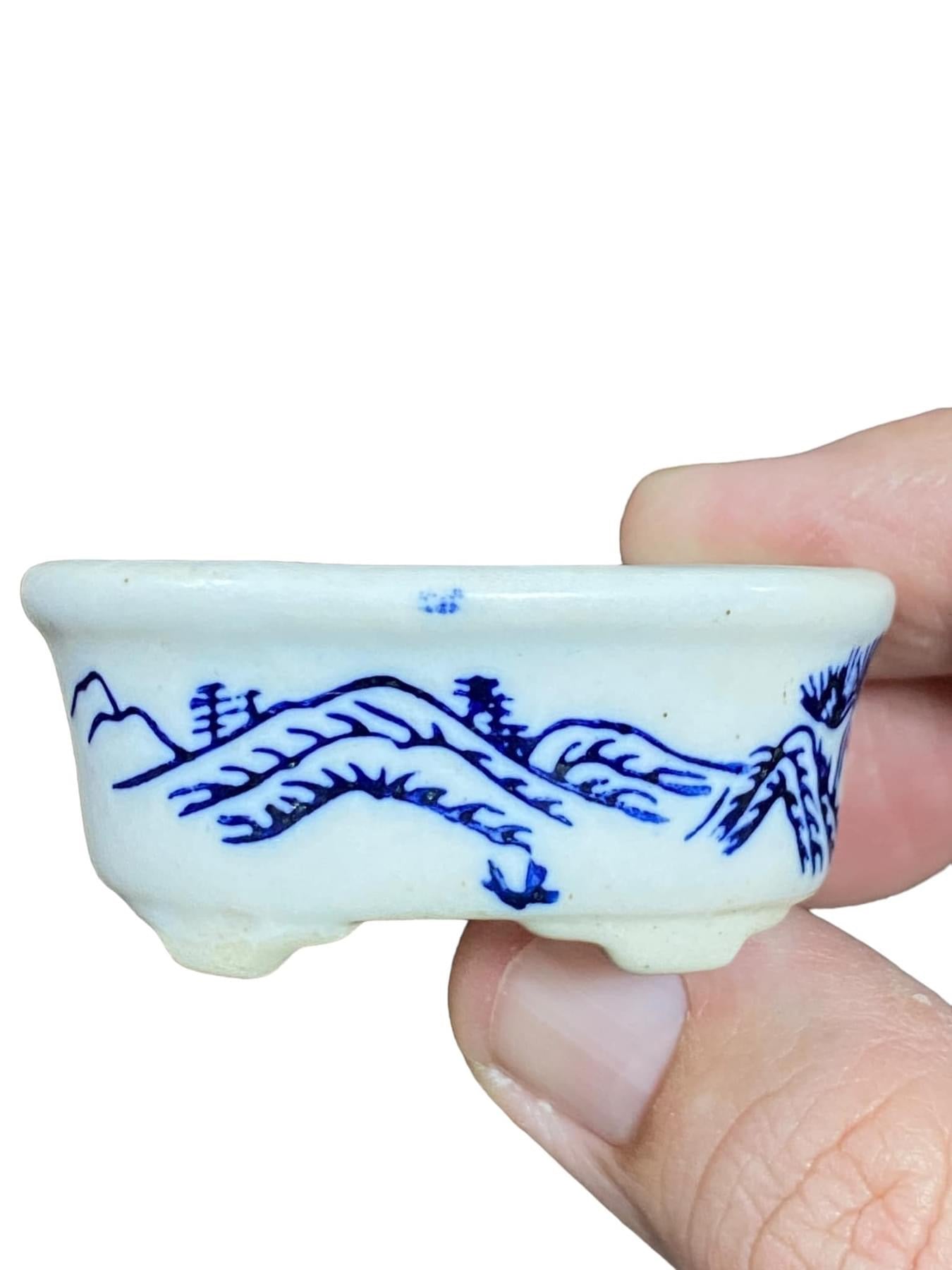 Painted Mountain Scene Bonsai Pot from China